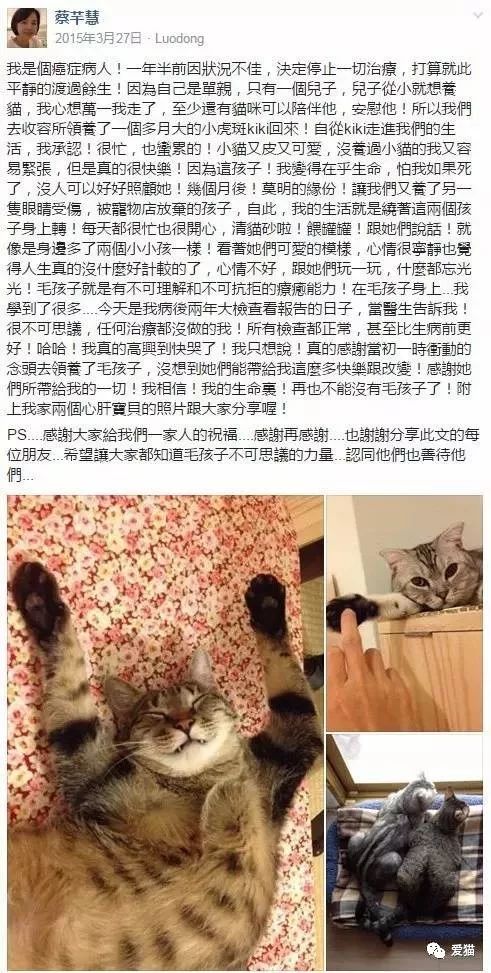 我在网店买三文鱼喂猫，结果被人网暴追骂两年，还造黄谣！