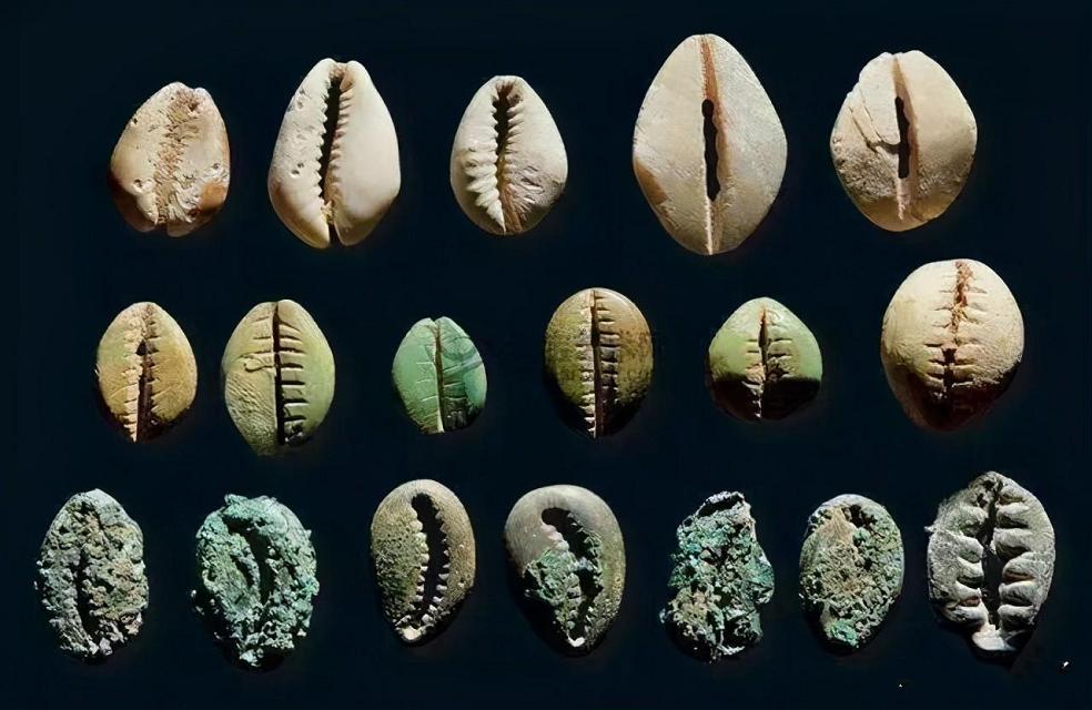 浅析中国古代货币的起源及发展