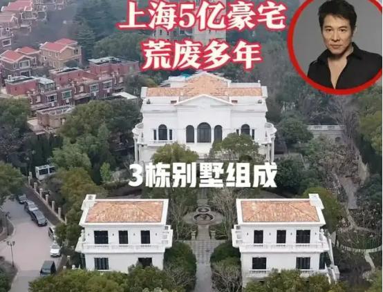 功夫巨星李连杰的资产,功夫巨星系列李连杰档案