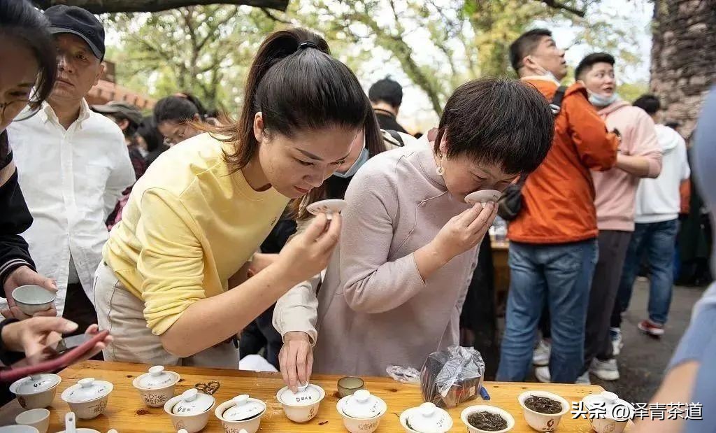 中国茶叶第一产茶大省,陕西中国茶叶第一大省