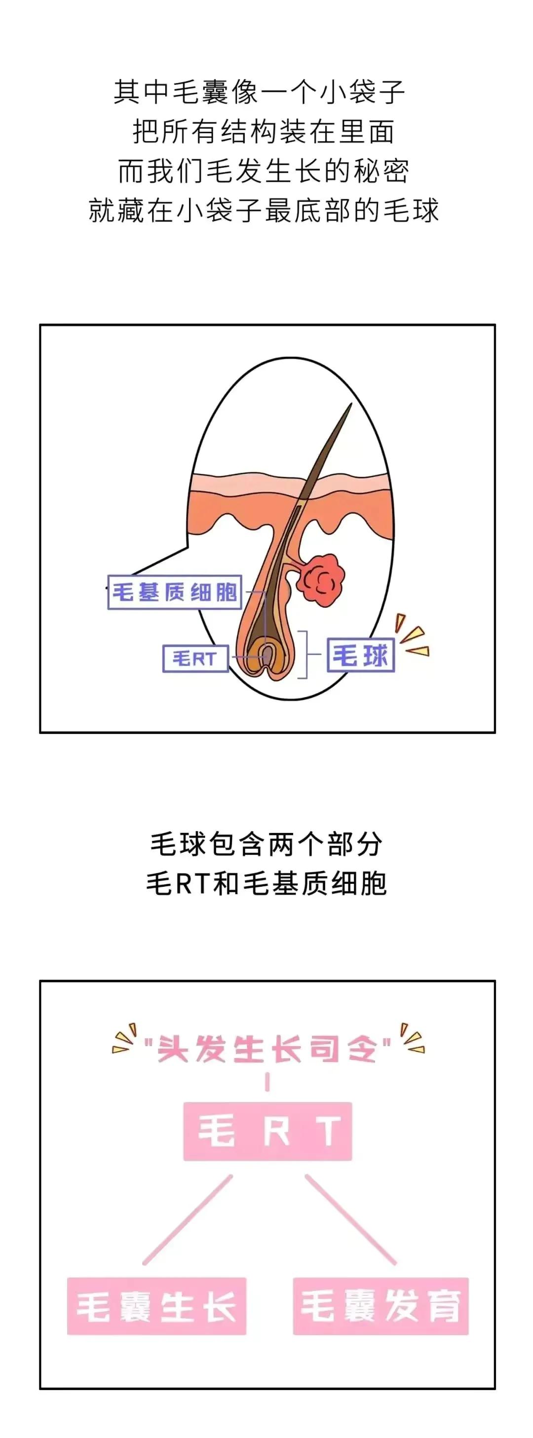 头发可以一直长，为什么“隐*处私**”的毛不能一直生长？