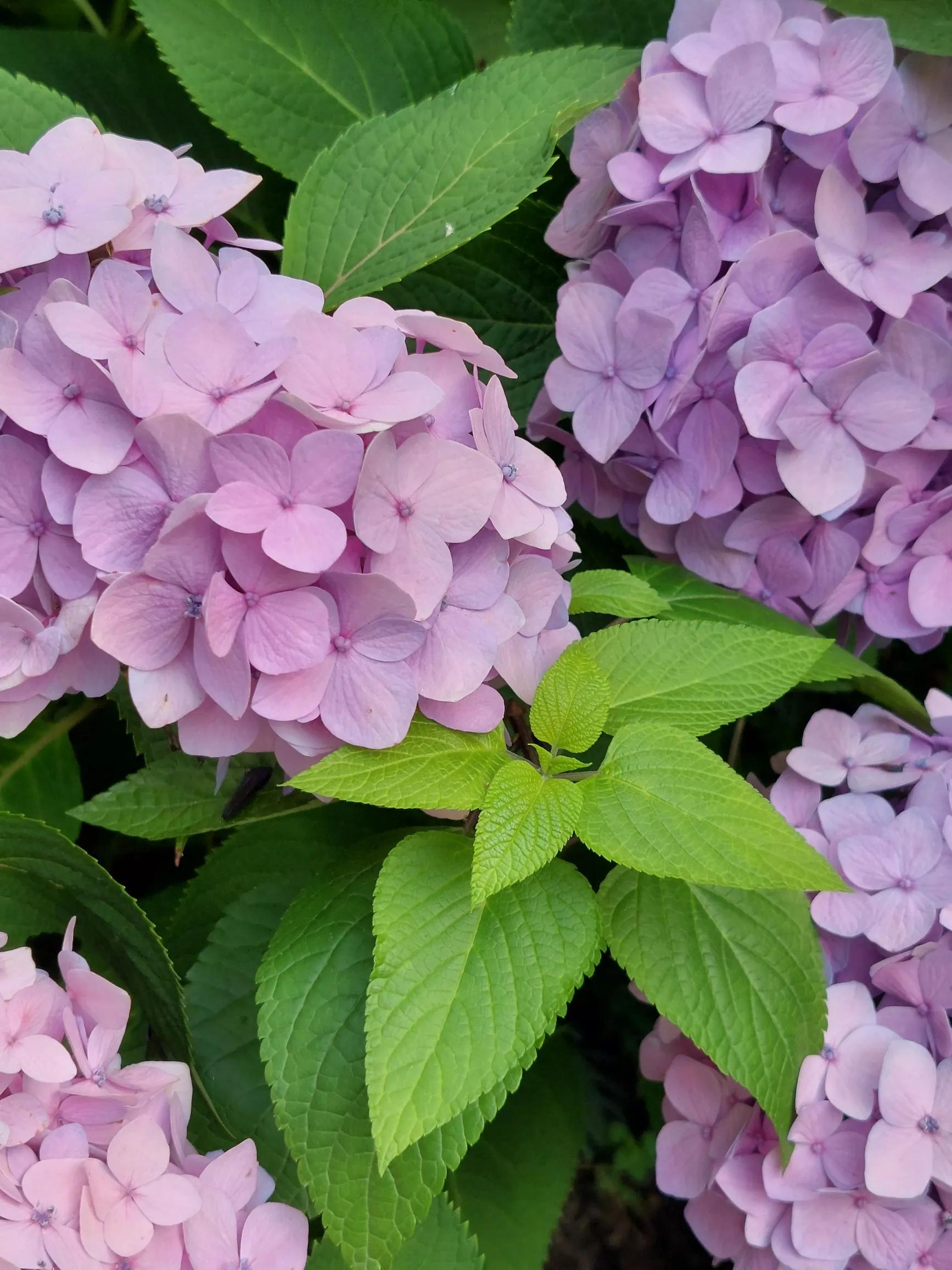 努力决定你的职业,努力是一种态度与职业无关