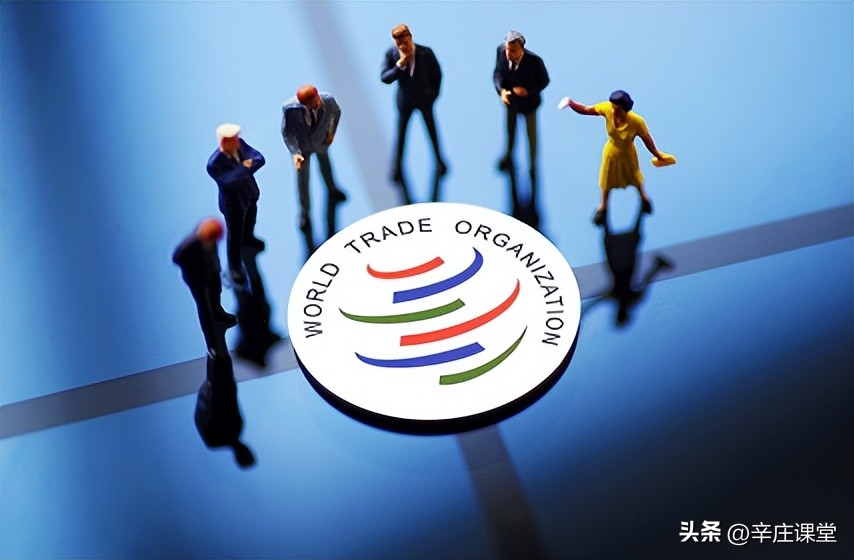 徐林服务业转型,徐林现在情况