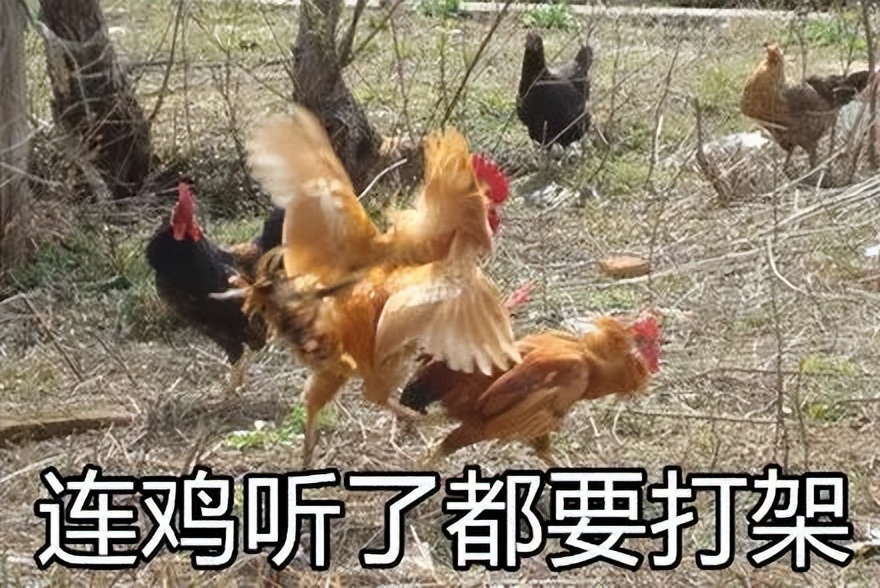 北京杭州美食荒漠,美食荒漠杭州