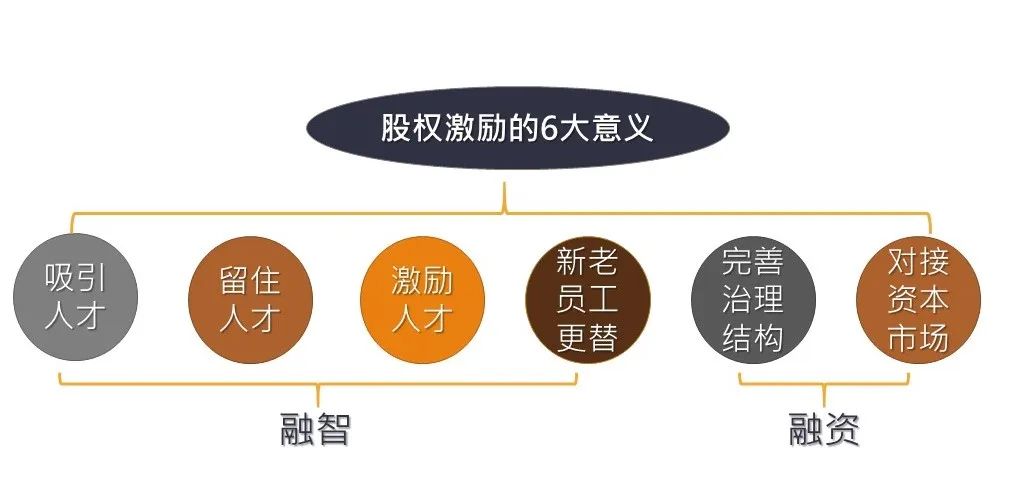 Tim专栏｜股权设计的六个关键因素