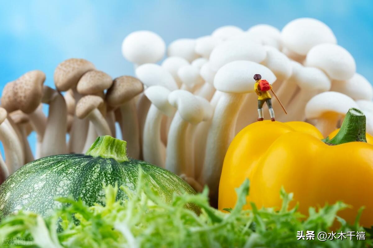 涨停后洗盘的几种形态,涨停后是缩量还是放量好