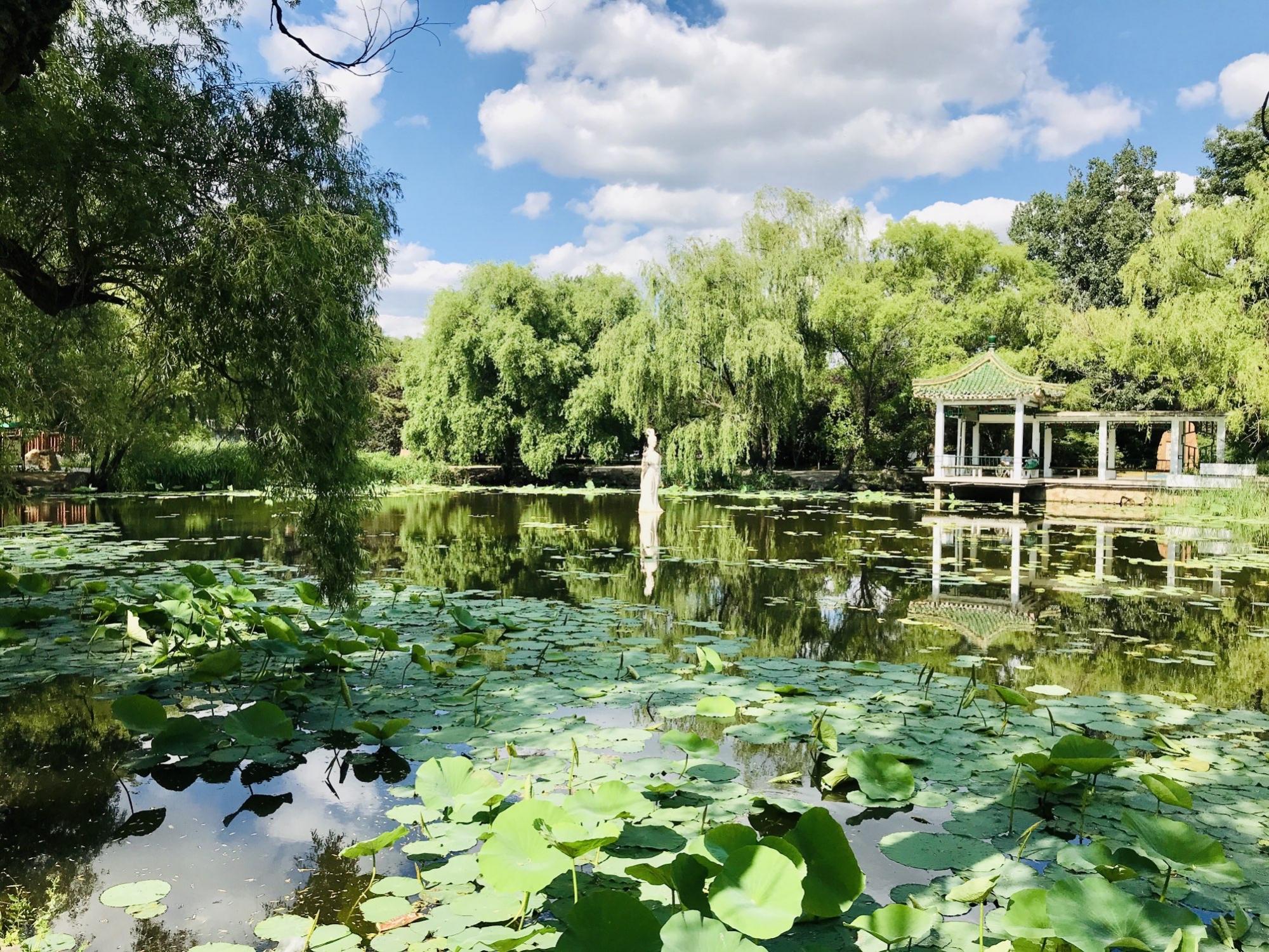 适合全家人旅游的地方沈阳,沈阳全家游玩景点