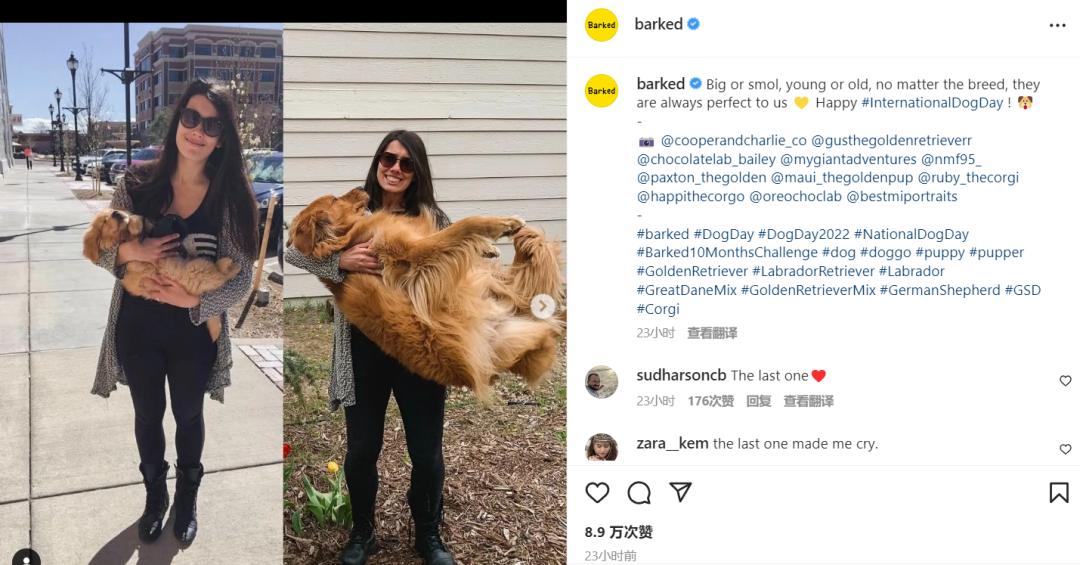 社媒营销丨从哪里获得以客户为中心的文案灵感?