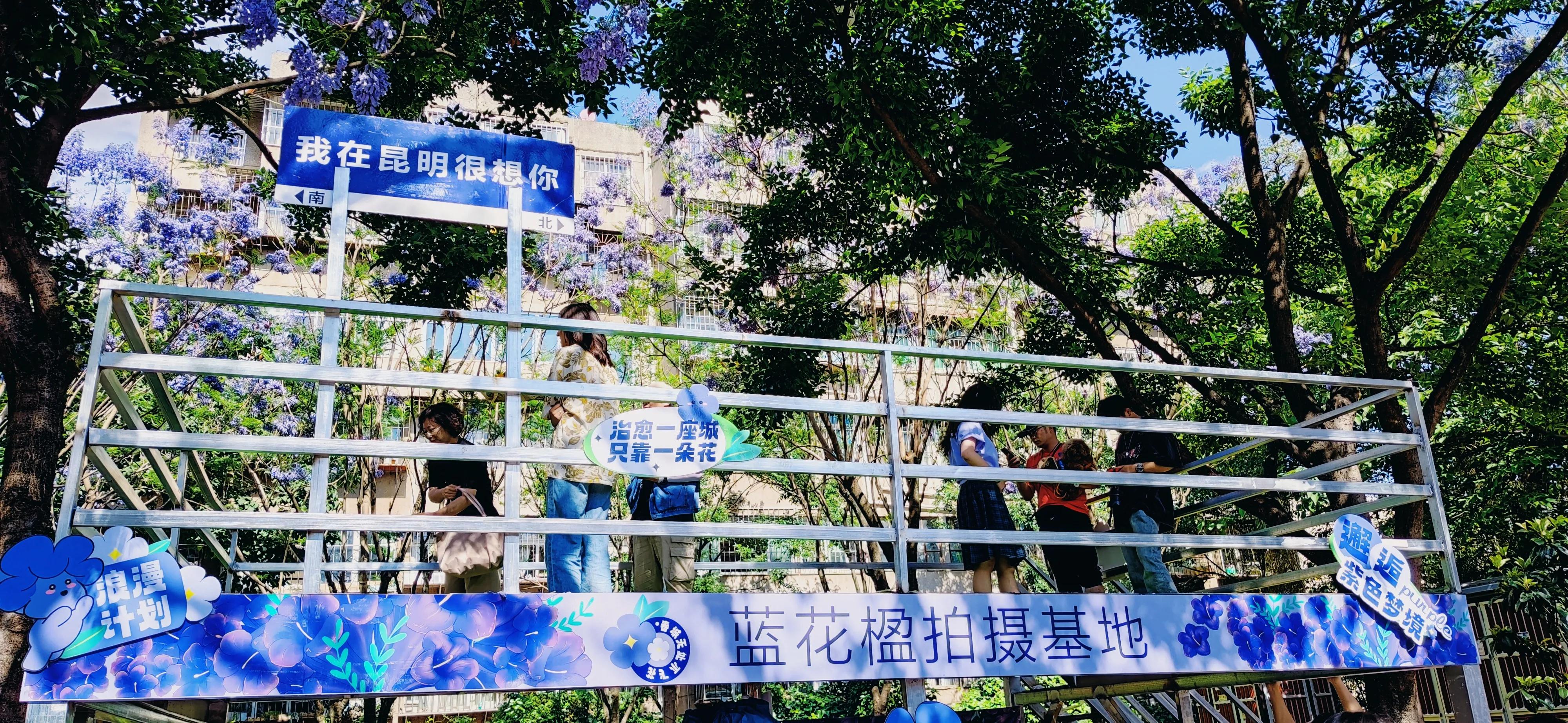 昆明周边一日游旅游景点,昆明旅游必去七大景点推荐