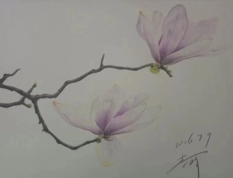 《草原王者》——李娟粉画、彩铅画作品作者：铁二代李娟