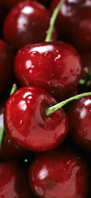 各种水果图片大全,各种水果的英文