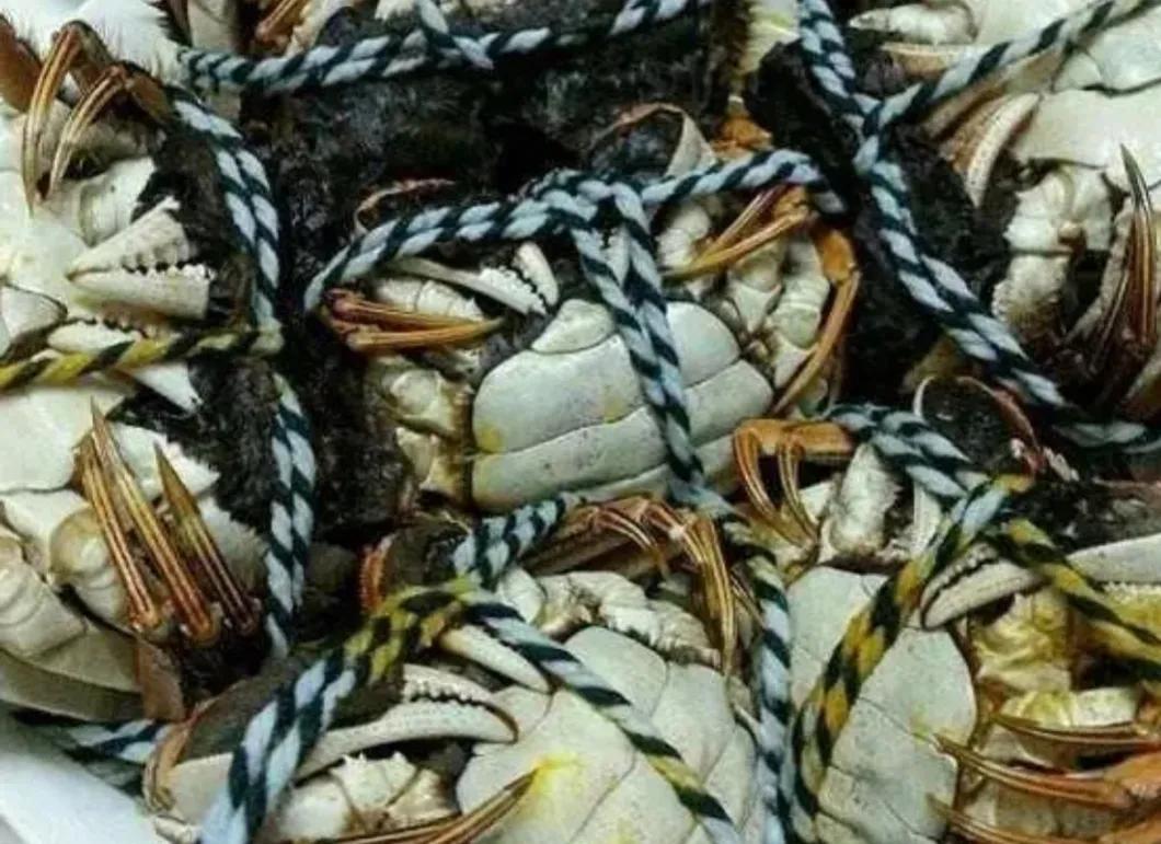 市场卖海鲜怎么避免被坑,卖海鲜不能说的秘密