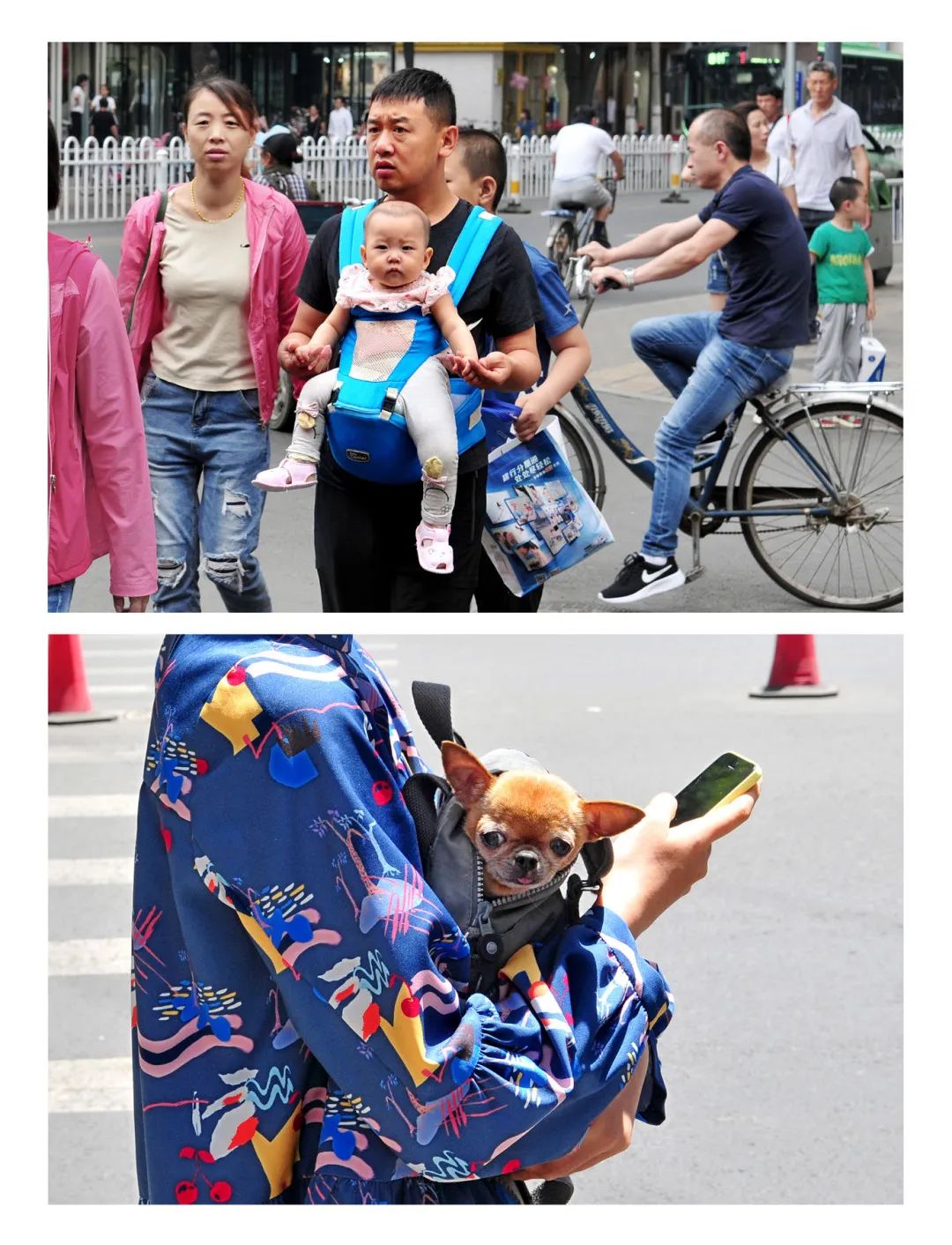 迎接党的20大美术作品,喜迎二十大乡村摄影展