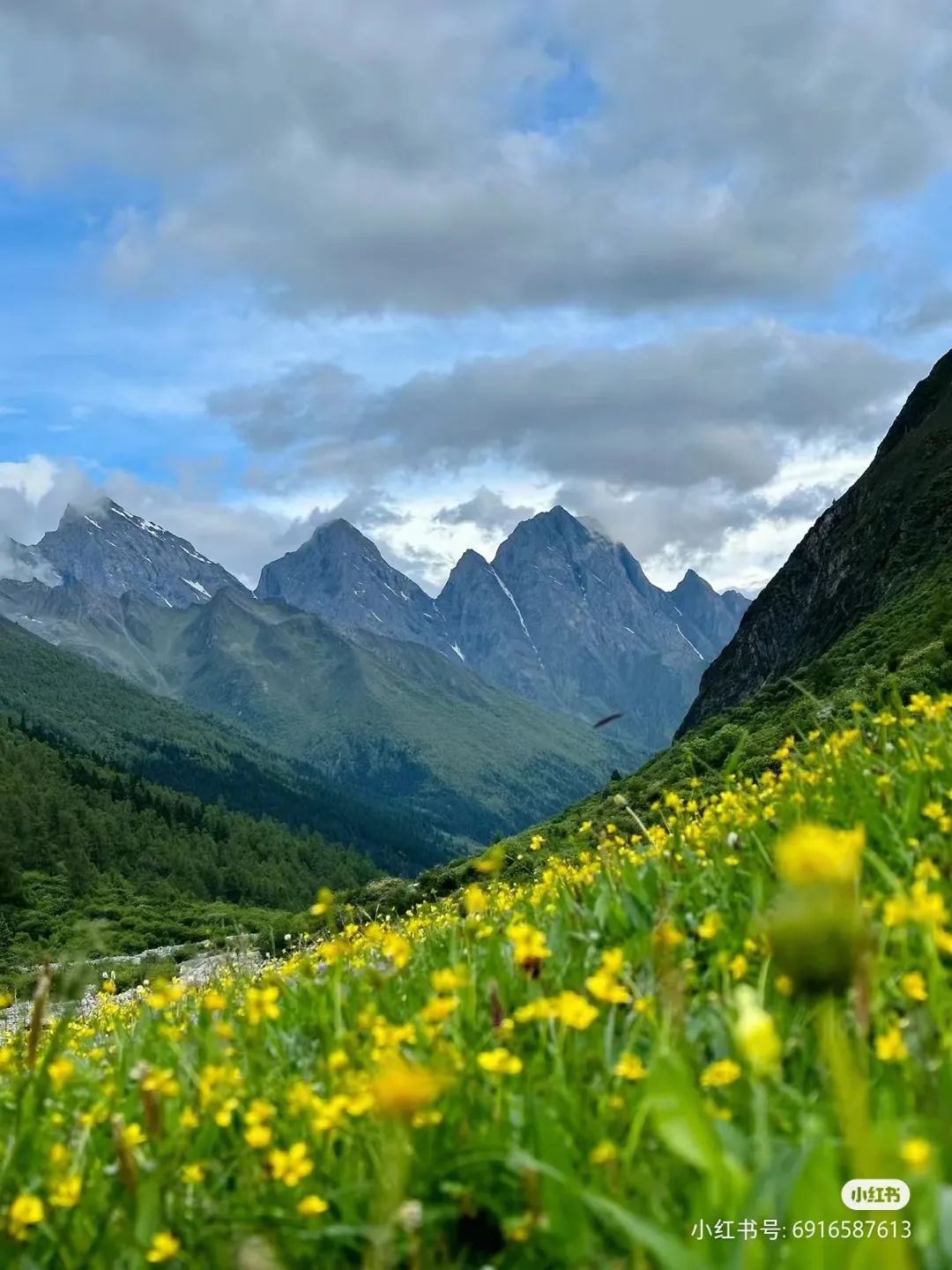 成都避暑带娃旅游景点推荐,成都夏天避暑露营哪里最凉快