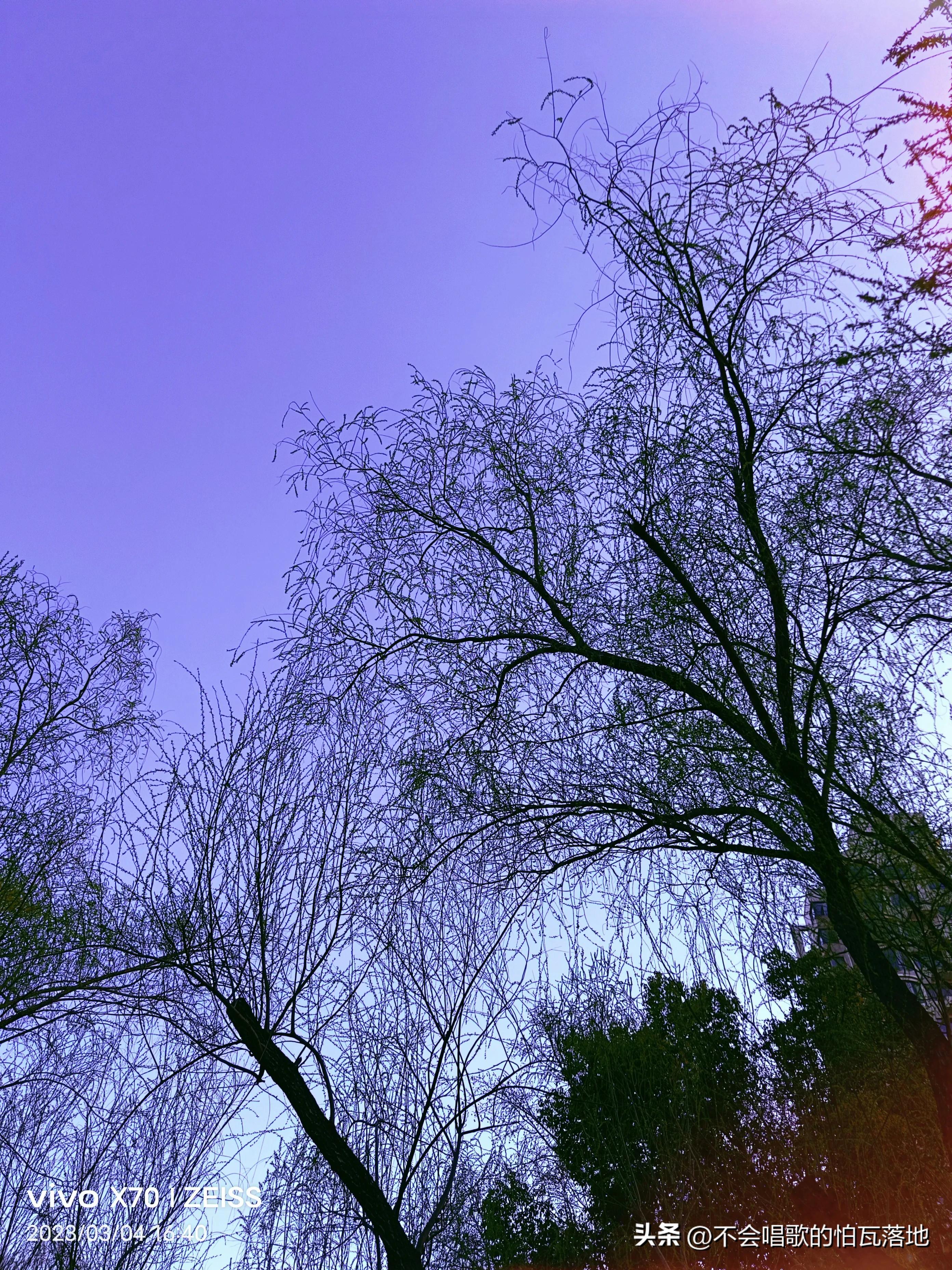 郑州动物园介绍一日游,郑州市动物园正常游览时间