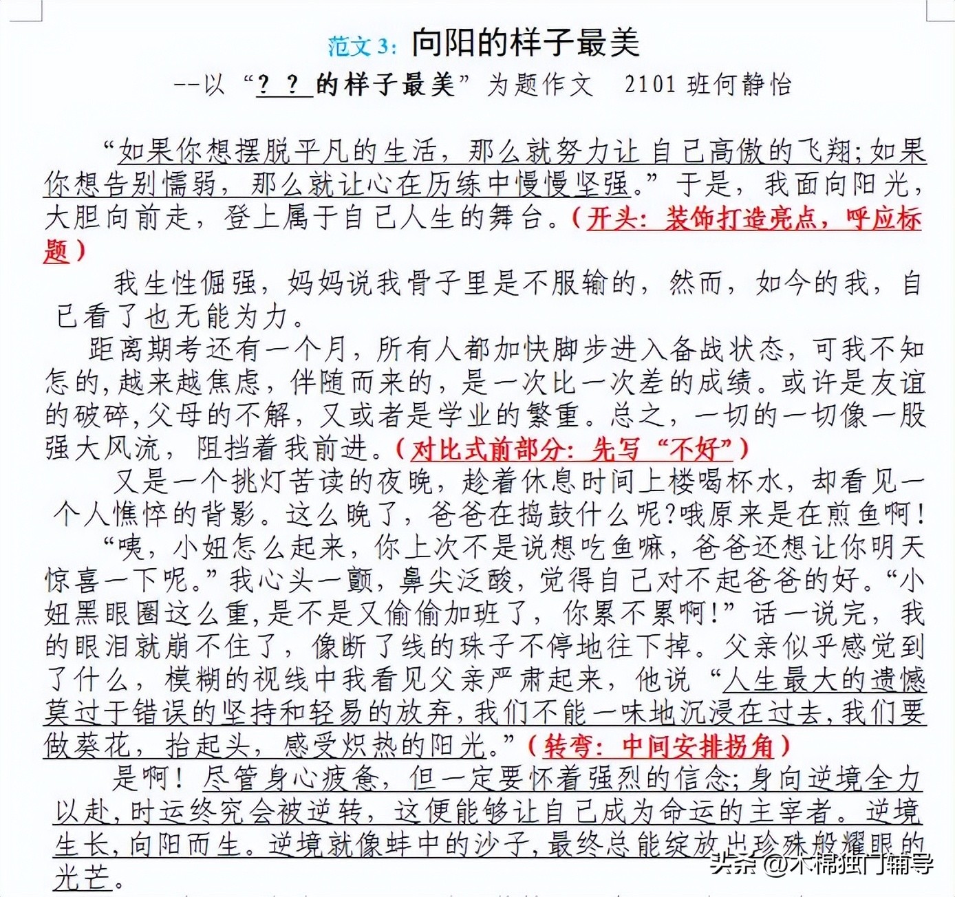 描写木棉花的初中作文,初中作文木棉花