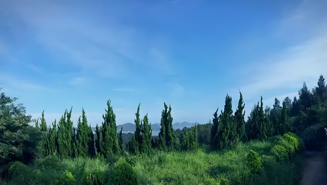 洞头海山民宿,温州洞头岛海景民宿