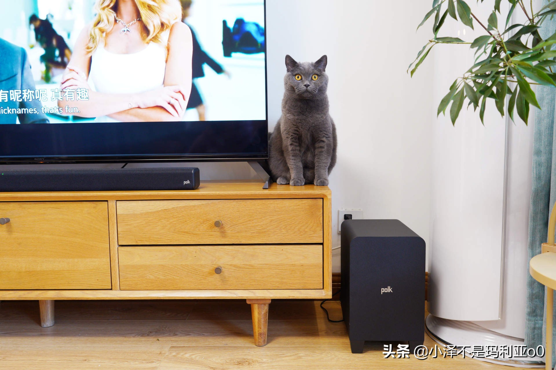 别再把条形音响当回音壁了！深入浅出，手把手教你分辨真假回音壁