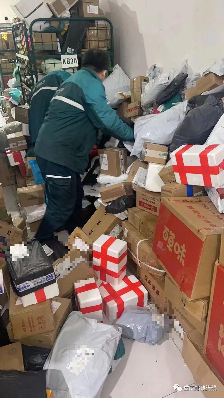 宝宝们的口粮送来了！