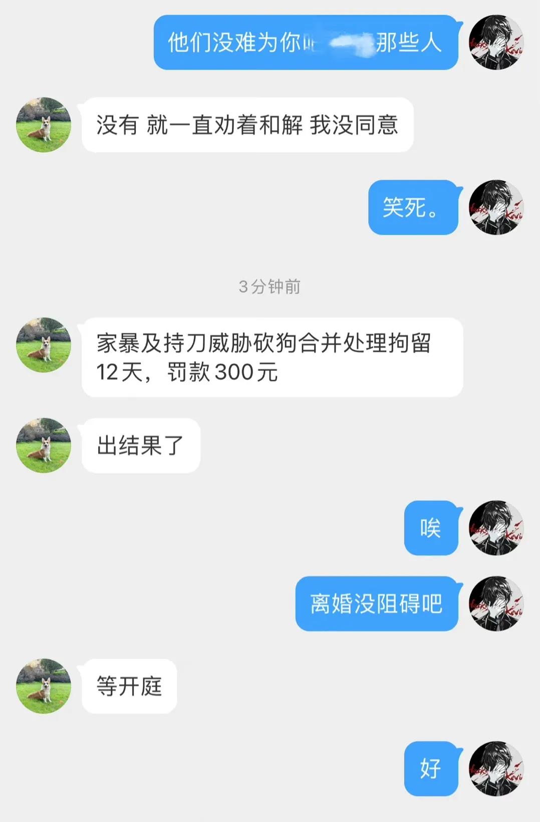 砍杀狗事件处罚,家暴杀狗事件