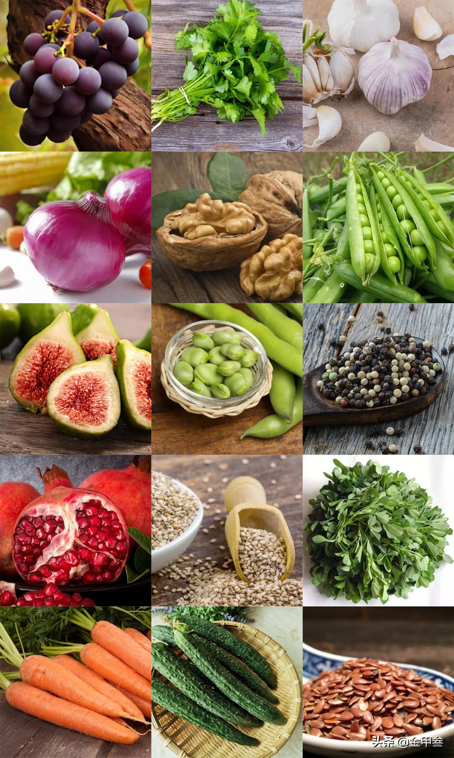 中国美食界名人,中国美食名家有哪些