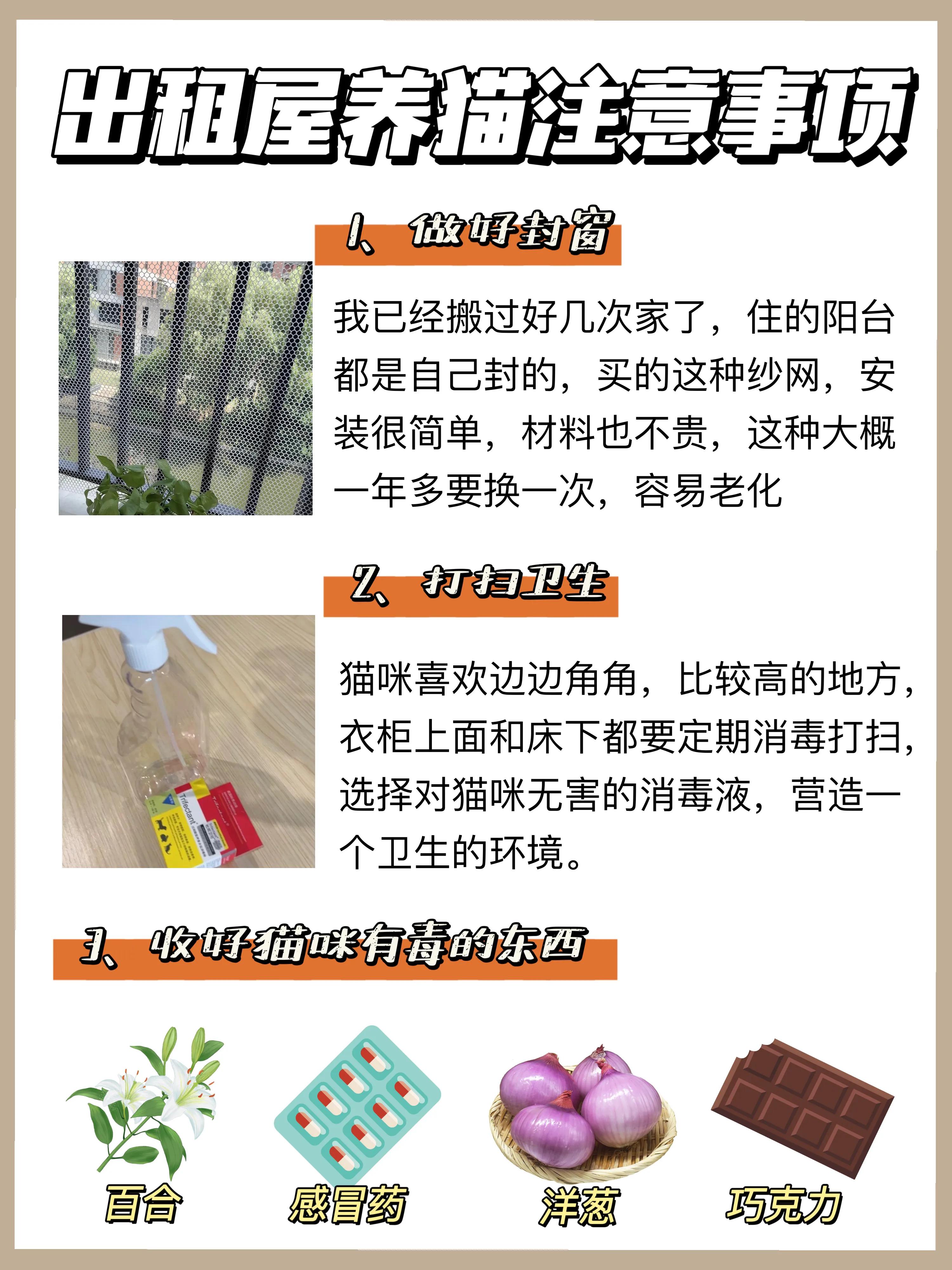 租房养猫除猫毛,猫居家养要驱虫吗