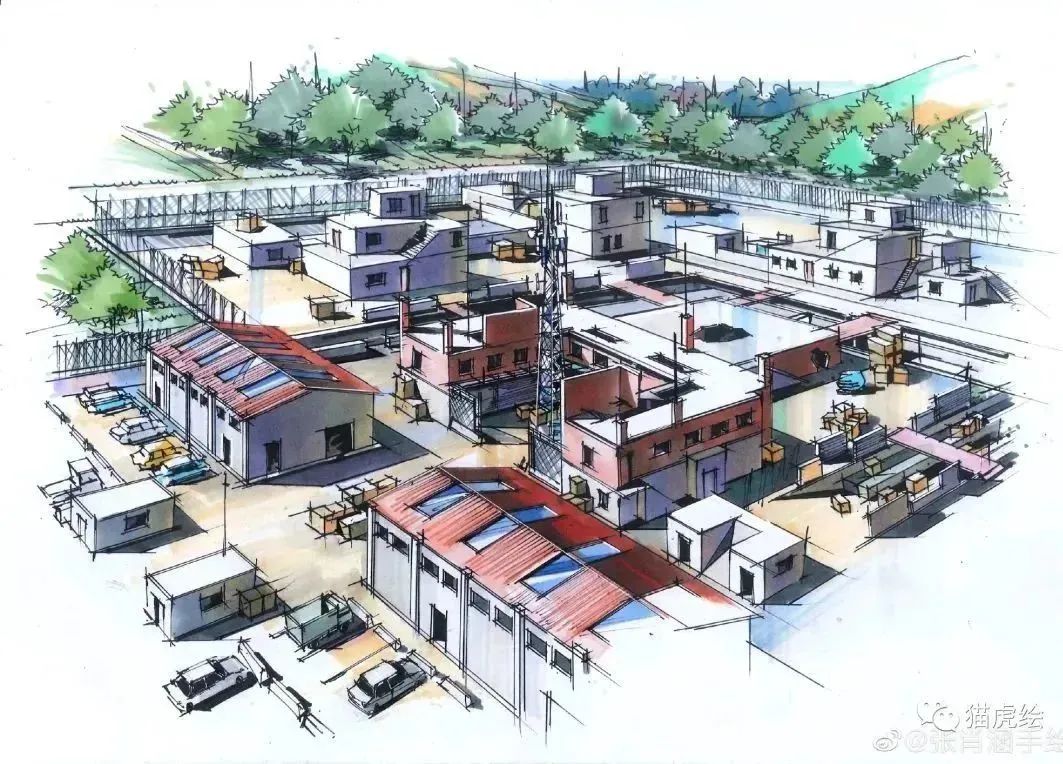 猫虎画,猫虎绘画