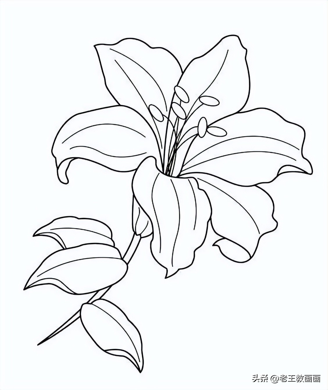 100种绘画基础入门,100幅零基础绘画教程