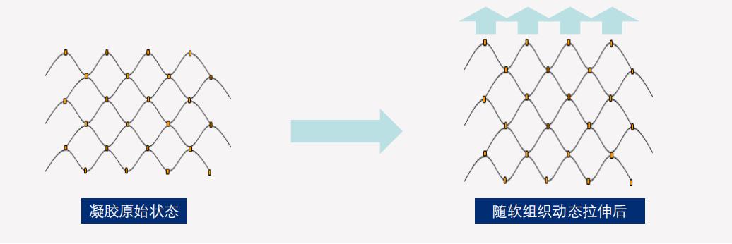 绽放自信的笑脸,绽放魅力提升自信