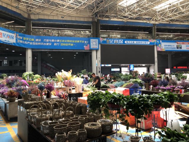 云南旅游攻略昆明旅游攻略,云南昆明旅游攻略