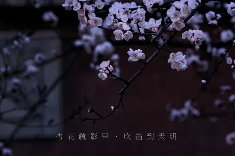 滦州古城都有哪些特色美景,滦州古城江南