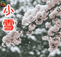 兔年最后一个节气,兔年日历节气