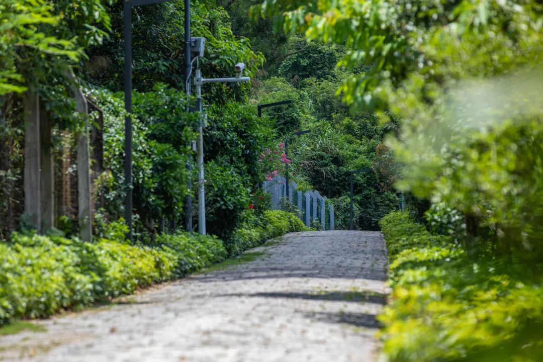 深圳梅林水库绿道线路图,深圳首条手作步道