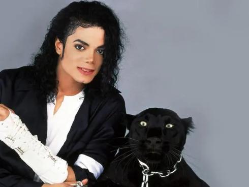 迈克尔杰克逊在广东中山的一天,迈克尔杰克逊来过中国中山吗