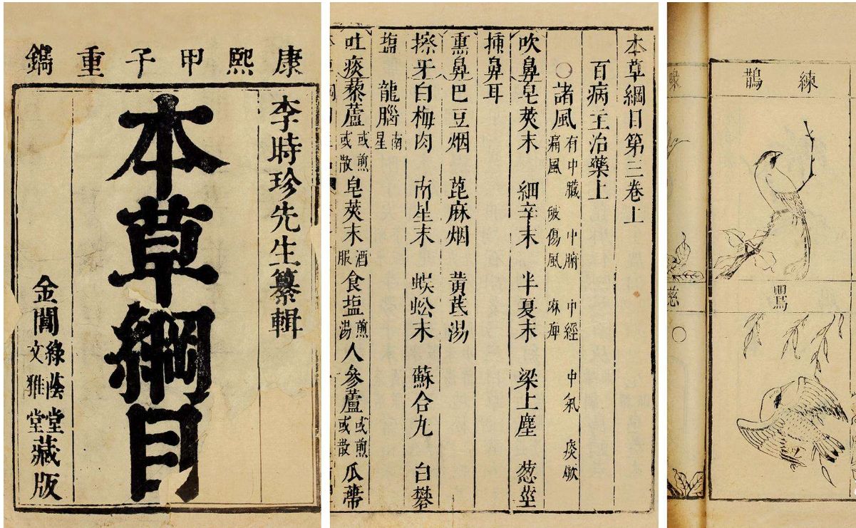 中国人为何不吃鱼,中国人为什么不吃猫呢