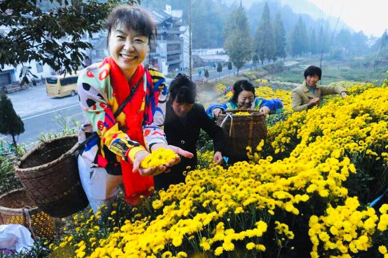 无边光景一时新原版,无边光景一时新知乎后续