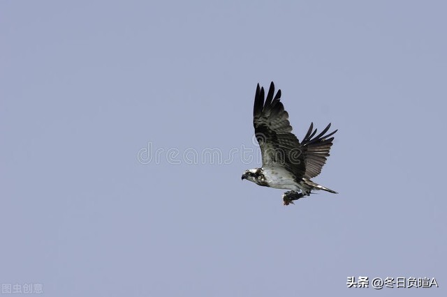 厉鹗诗词,清代文学家诗人厉鹗简介