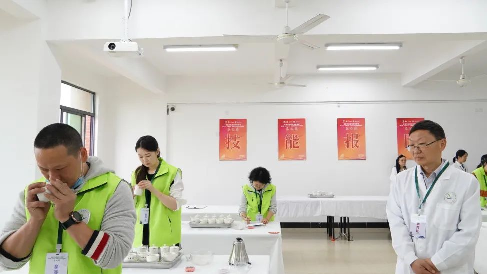 评茶员的考试内容包括哪些,评茶员大赛获奖率