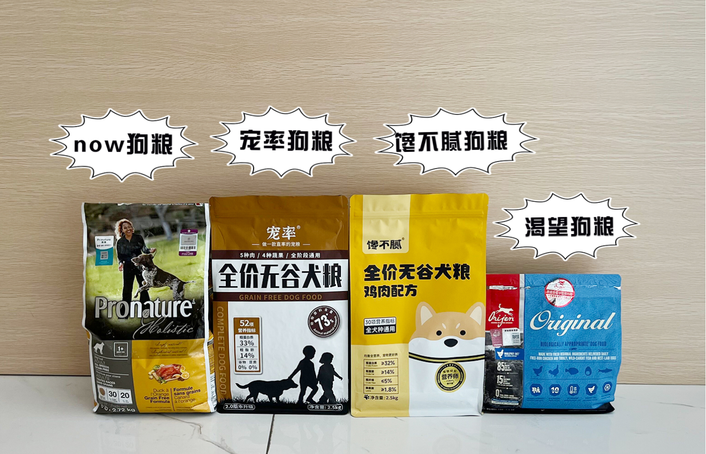 推荐几种好养又可爱温柔狗狗,5种最受欢迎的狗狗你养了哪一种