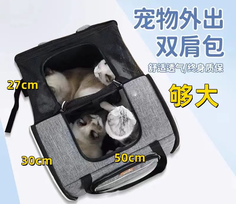 害死猫的网红饰品,盘点那些被人害死的网红猫