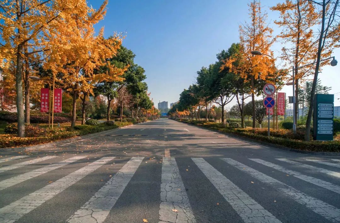 隶属国家电网的国家示范高职院校，百年底蕴，实力强劲，牛人辈出