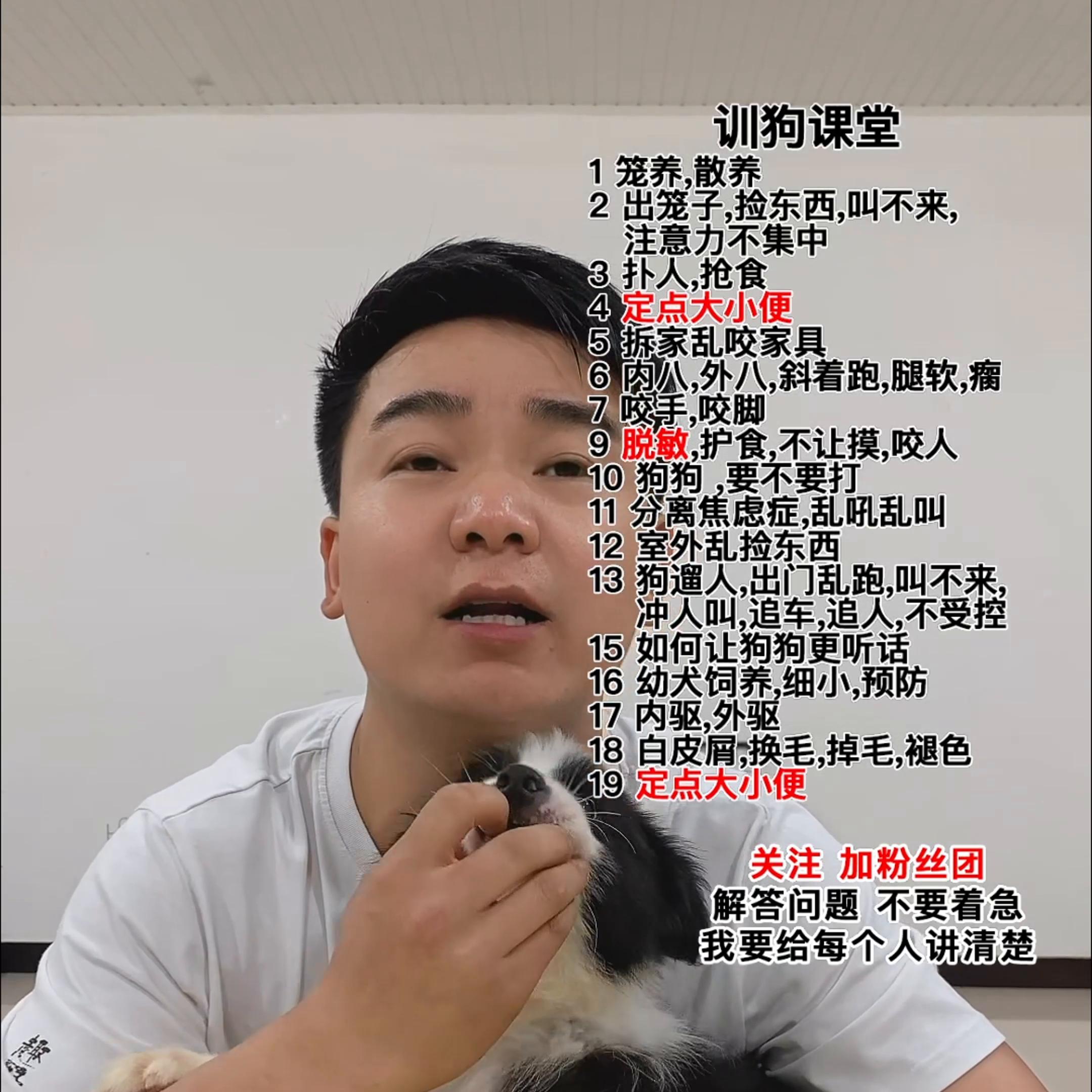 如何改正狗狗咬手磨牙,狗狗磨牙棒能避免咬人吗