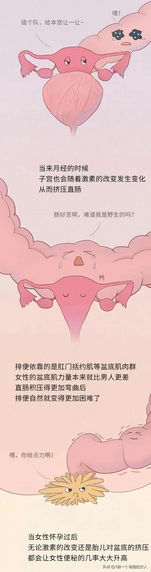 男人为什么一天几次大便,为什么男人一天拉一次大便正常