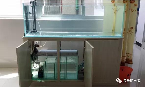 养鱼都应该选择哪些滤材,养鱼用什么过滤最好最实惠