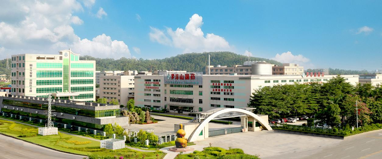 广东省中医药传承创新大会,中医药文化传承创新发展大会