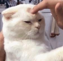 二氧化碳激光祛痘坑治疗后的效果,除了激光祛斑还有什么祛斑效果好