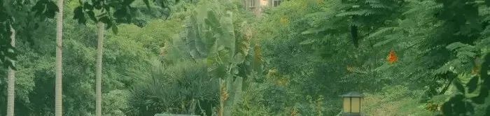 分享文章就能赚钱的app有哪些,分享经验写文章可以赚钱的app