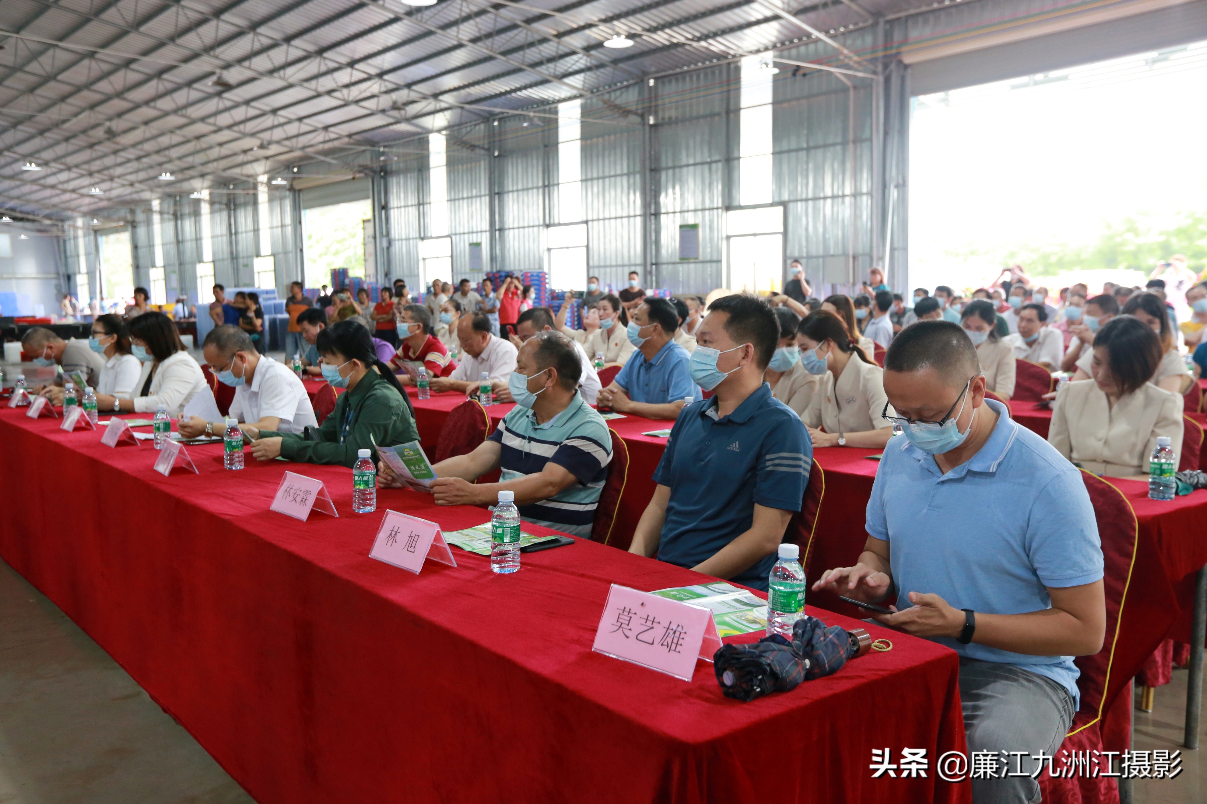 廉江吉水绿之源合作社,廉江市绿之渌分拣中心