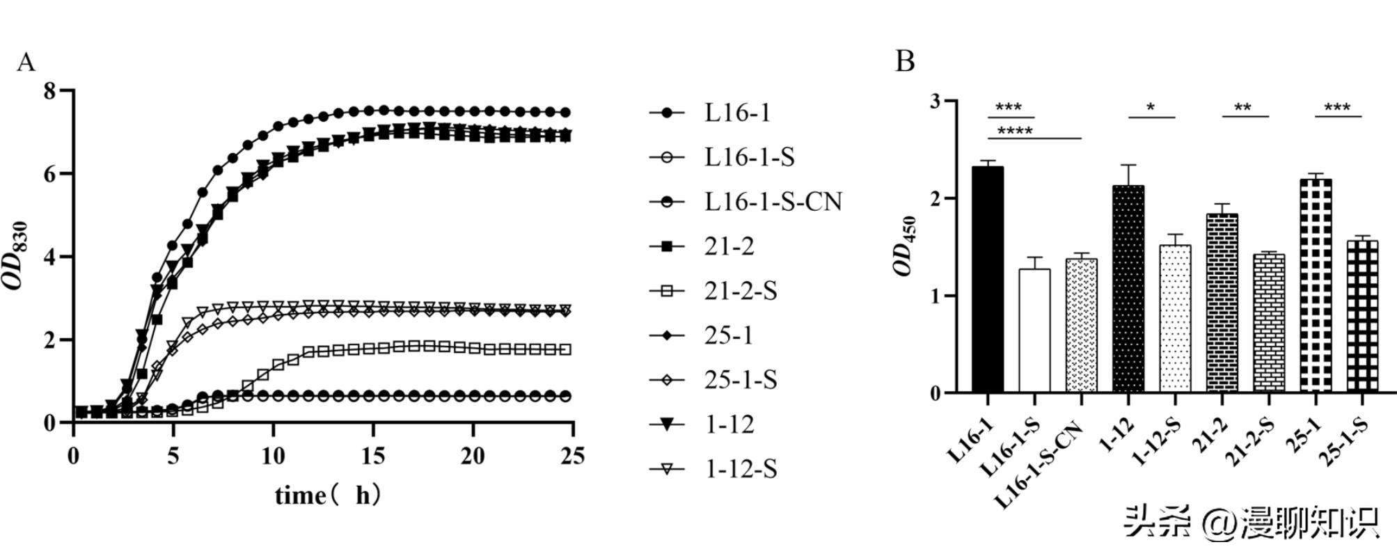 大肠杆菌的结构名称,大肠杆菌菌株基因型