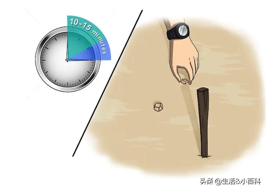 如何分辨东南西北方向日常,如何根据影子判断方向